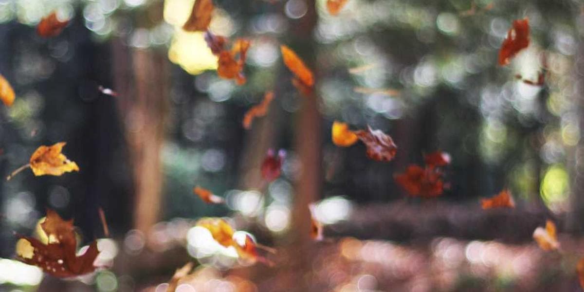 Yeşil Teknoloji Hakkında Yeni Gelişmeler